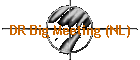 DR Big Meeting (NL)